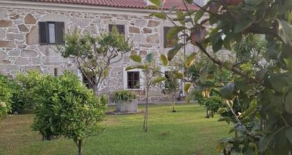 Esposende Private Terrace Flat