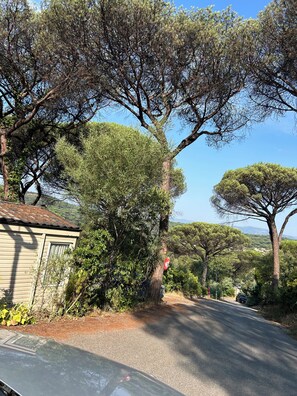 المنطقة المحيطة بالمنشأة