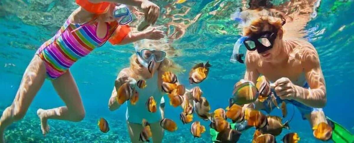 شاطئ