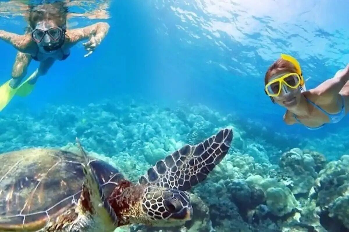 A person snorkeling with a sea turtle in clear blue water.