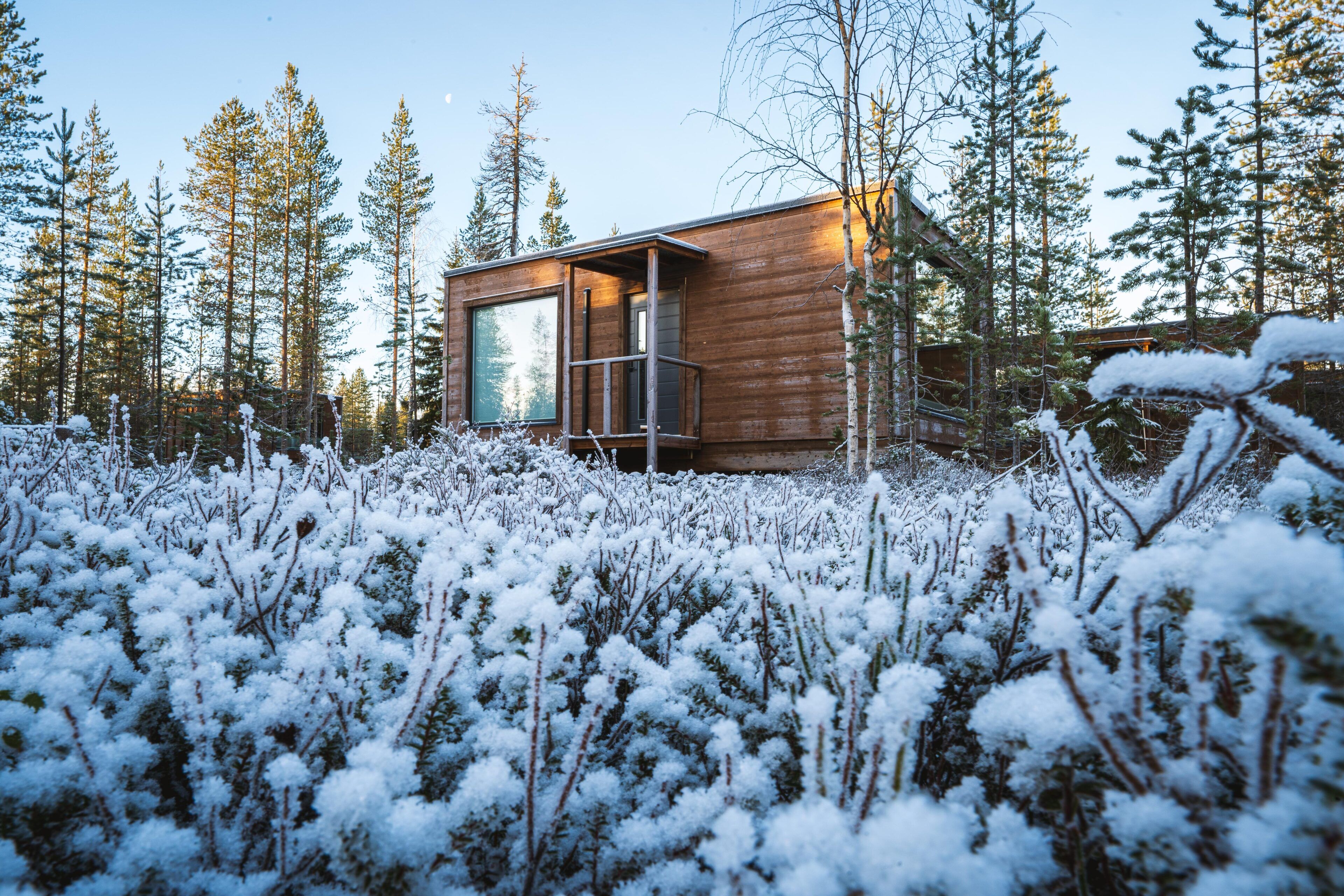 Una cabana amb un gran finestral i un balcó, envoltada d'arbres coberts de neu.