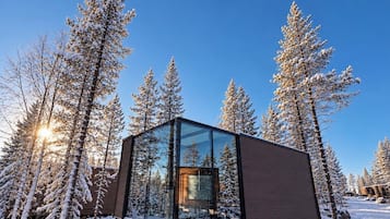 A modern glass structure surrounded by snow-covered trees.