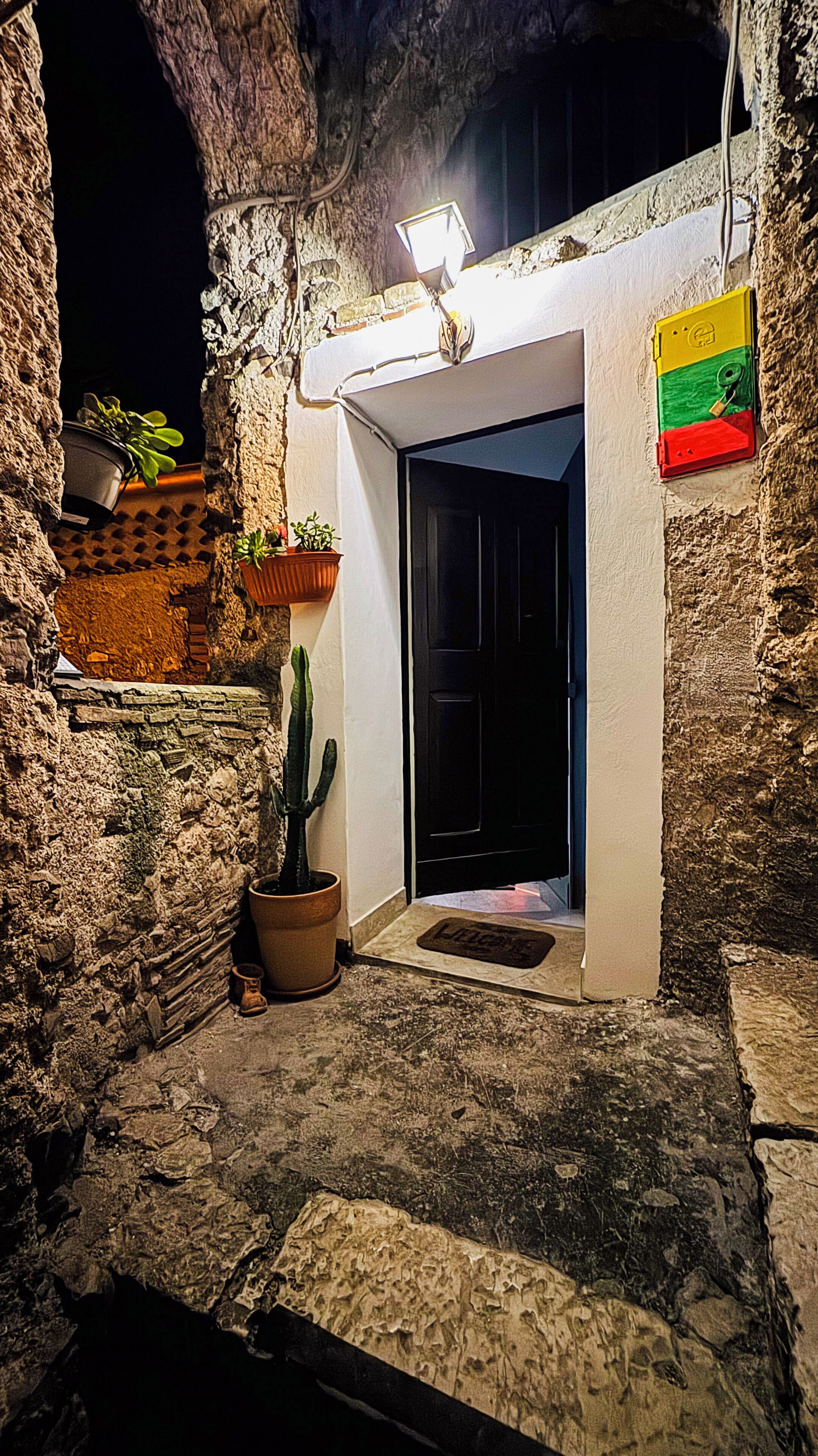 Une entrée en pierre, avec une porte, des plantes en pot et un drapeau.
