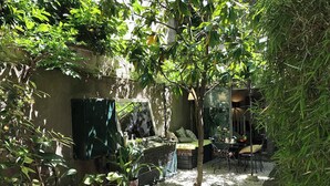 公寓 | 露台/庭院