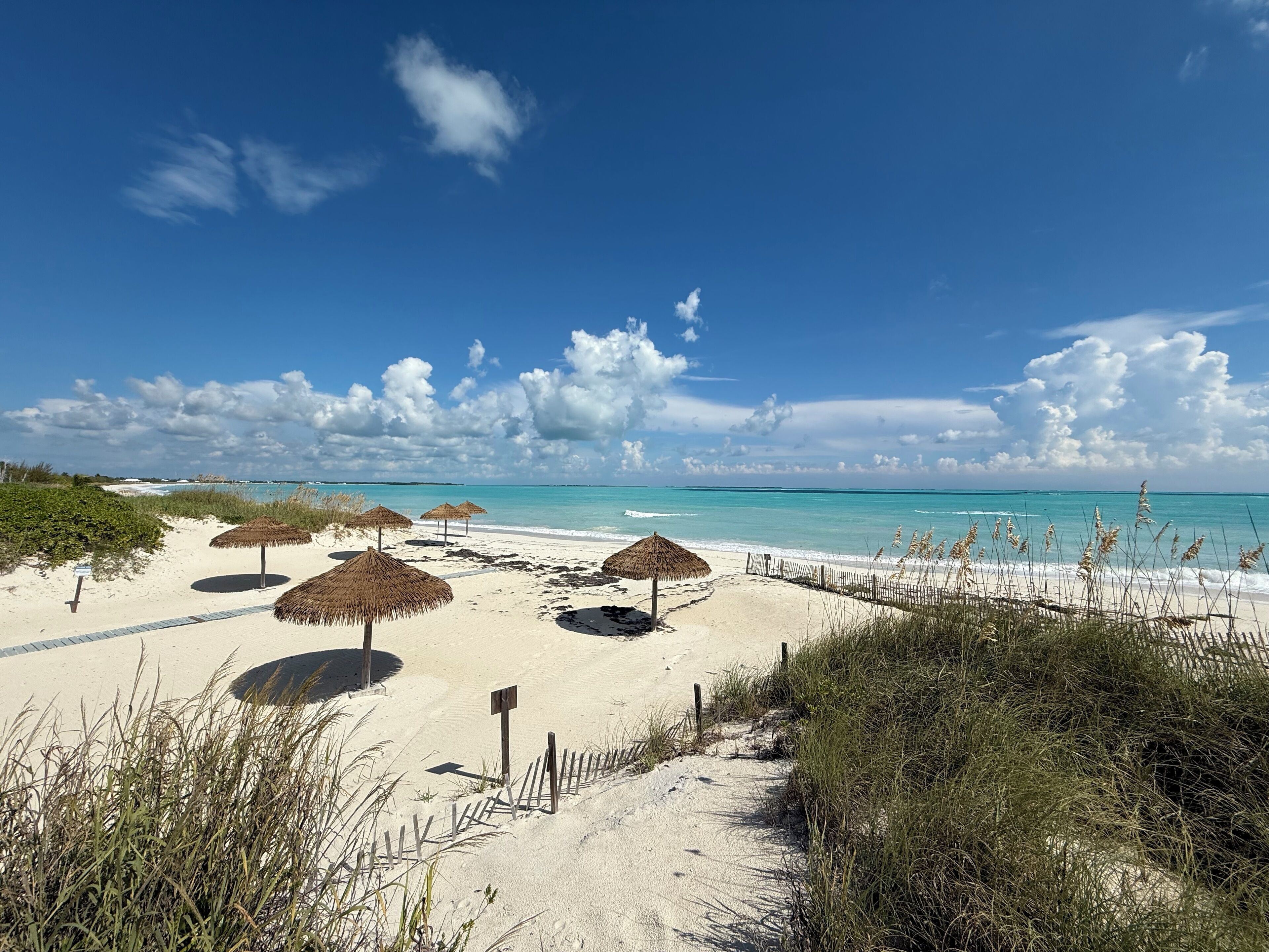 Tumbonas y toallas de playa