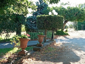 A garden pathway with potted plants and a metal fence in the background.
