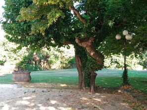 Jardines del alojamiento