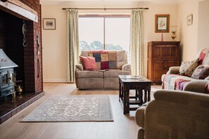 Fernseher, Kamin, Bücher, Videothek