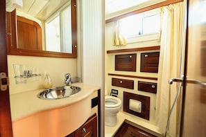 Shower, towels, soap, toilet paper