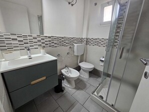 Shower, hair dryer, bidet, towels