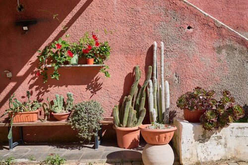 la casa di simba à Piombino