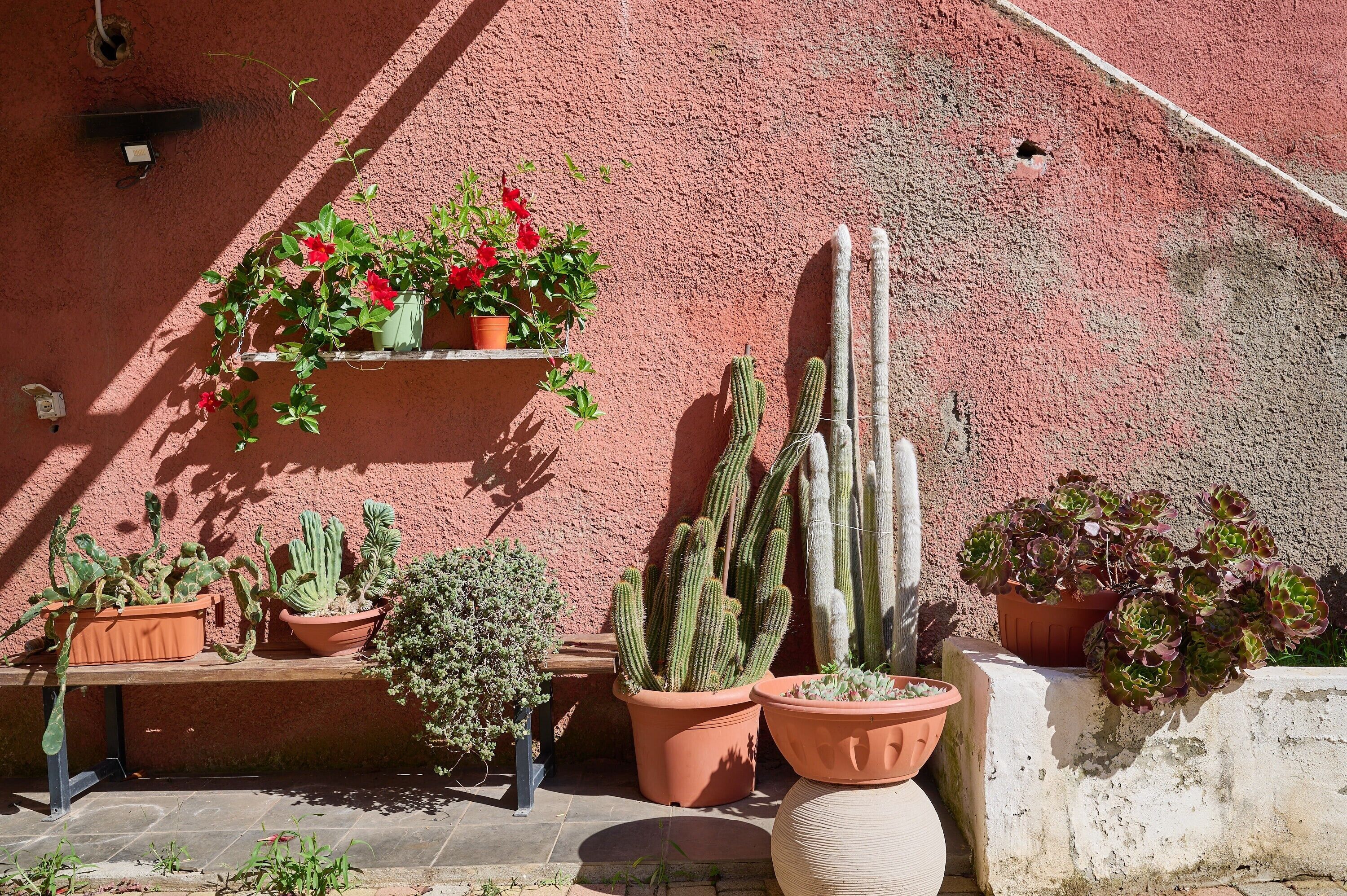 المنطقة المحيطة بالمنشأة