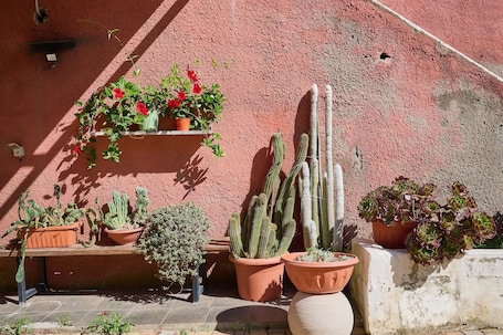 Property grounds. "The House of Simba" in Piombino