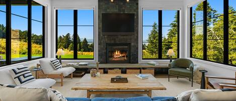 Smart-tv, pejs, bøger, stereoanlæg