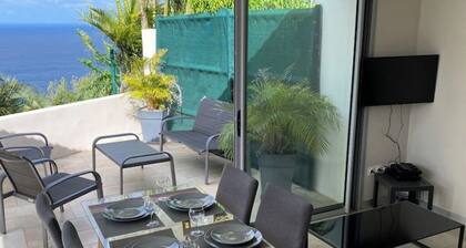 Bungalow Vanille T2/4 sea view in the wild south