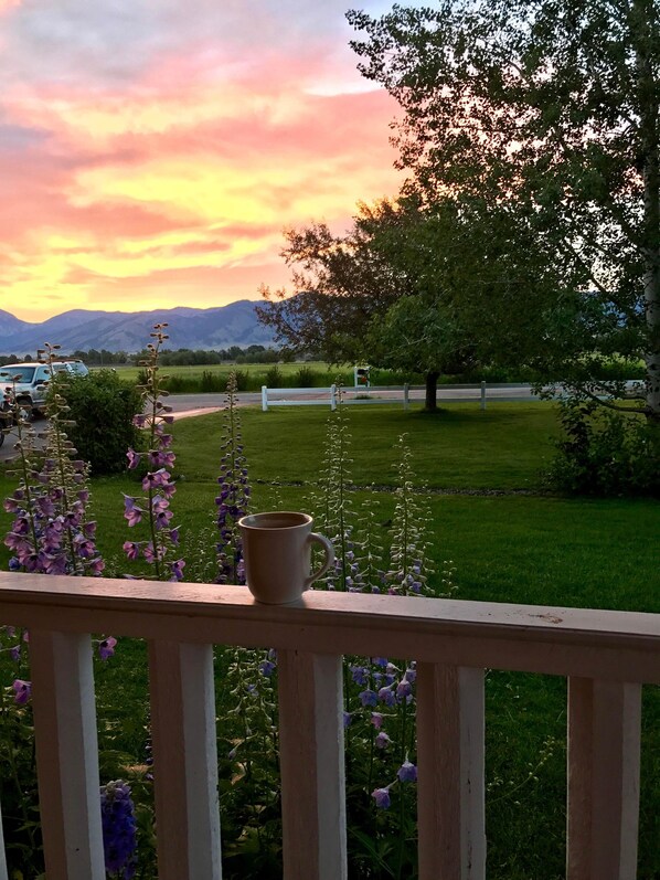 Jardines del alojamiento