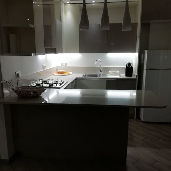 Fridge, oven, dishwasher, coffee/tea maker