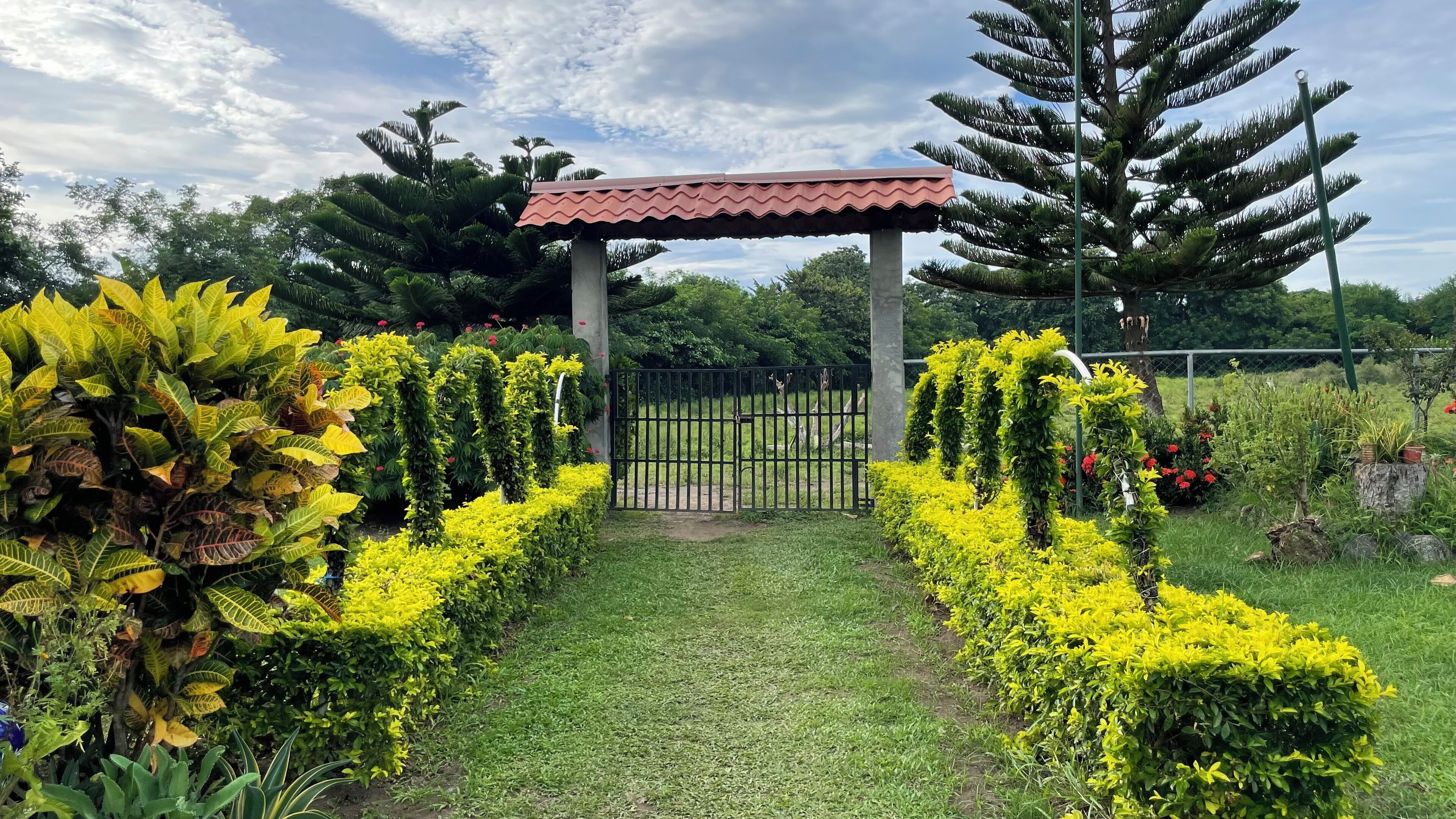 A garden pathway leading to a gazebo with a red roof, surrounded by well-maintained hedges and trees.