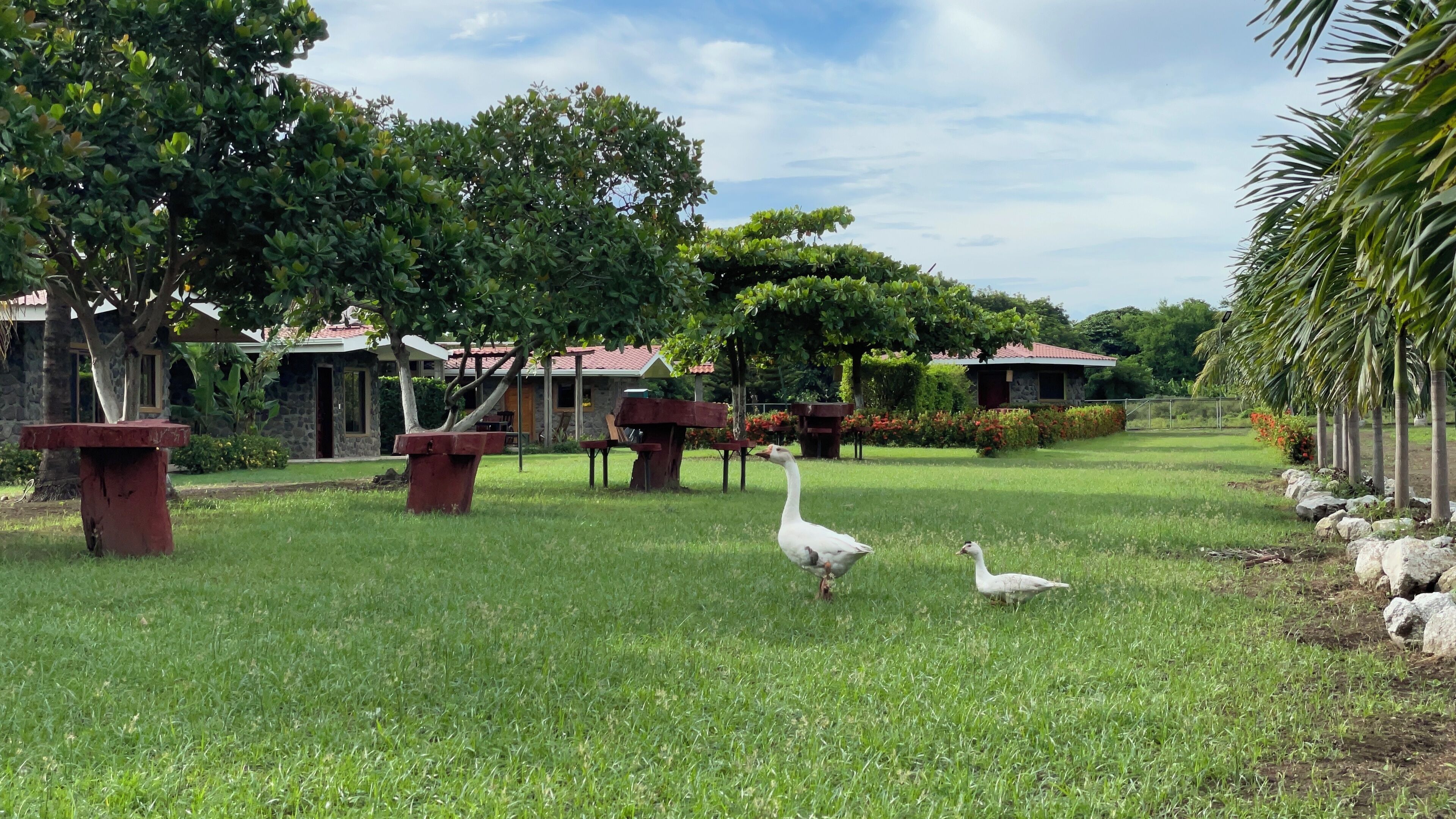 Vista frontal de la propiedad