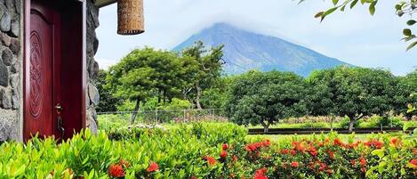 ファミリー キャビン パティオ ガーデンビュー | ミニバー、WiFi (無料)