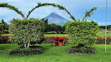 Vista desde la propiedad