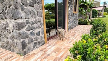 Family Cabin, Patio, Mountain View