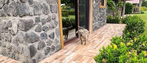 Family Cabin, Patio, Mountain View