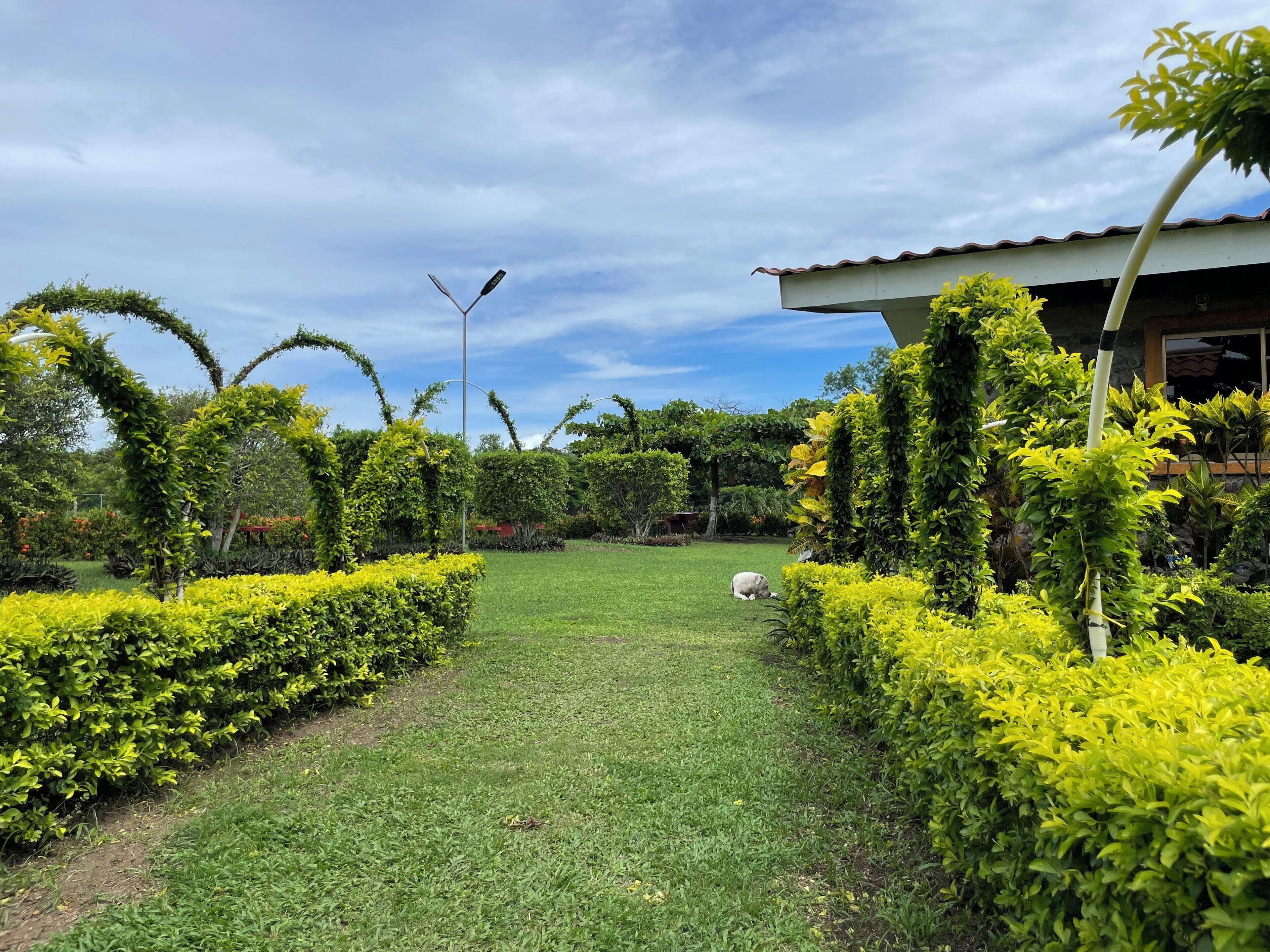 مدخل المنشأة