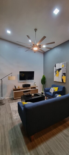 TV