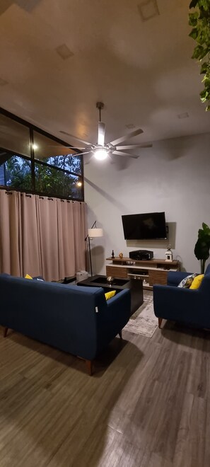 TV
