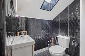 A bathroom with a skylight, a white sink, and a toilet.
