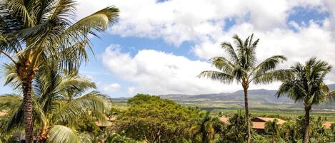 Apartment (4 Bedrooms) | Fassade der Unterkunft