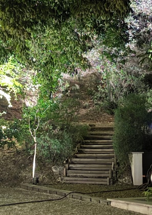 Una escalera de madera que sube una pendiente, rodeada de follaje denso y un pequeño árbol a la izquierda.