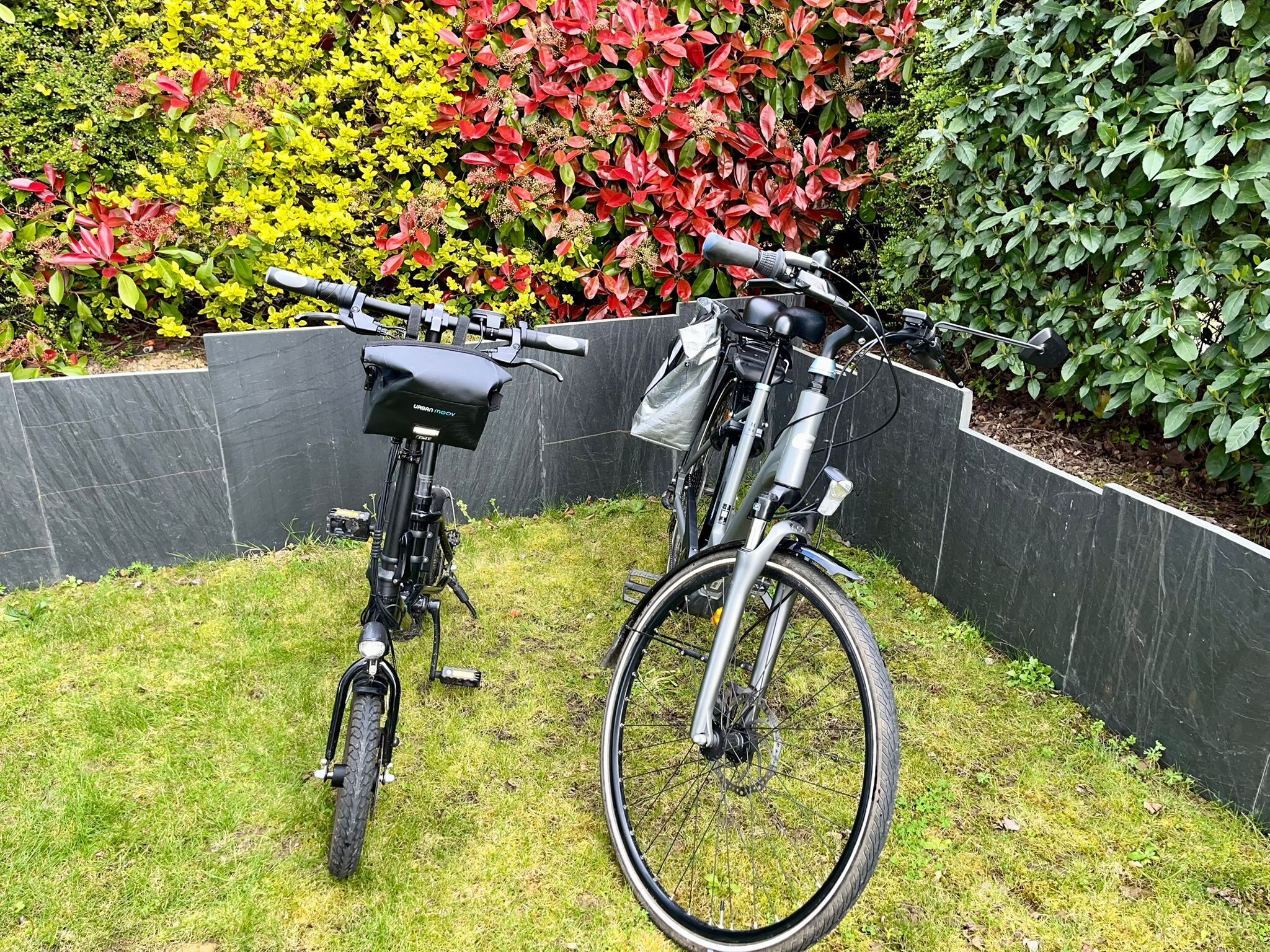 Deux vélos sont garés dans un espace verdoyant, avec un mur noir et un feuillage aux couleurs vives en arrière-plan.