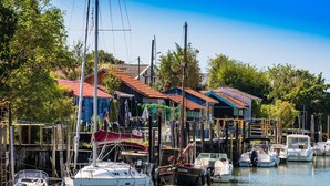 Un puerto deportivo con barcos amarrados, edificios de madera con tejados rojos y un cielo azul despejado.