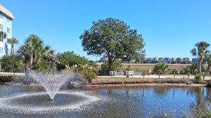 A tranquil pond with a fountain, surrounded by grass and trees, with a building and houses in the background. -  Updated Oceanfront 2 br. getaway balcony view, steps to pool, walk to beach! (Hilton Head Island)
