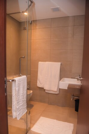 Hair dryer, bidet, towels, soap