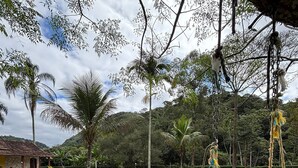 Un espacio con césped, un columpio, palmeras y un edificio al fondo.