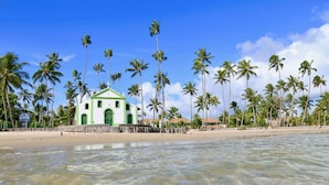 A beachside building with a green facade, surrounded by palm trees and a sandy beach.