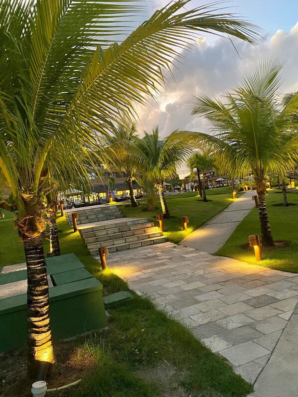 Un camino bordeado de palmeras e iluminado con luces en el suelo, que conduce a un edificio con mesas al aire libre.