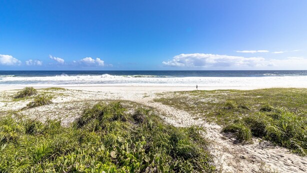 En strand med klitter og sparsom beplantning.