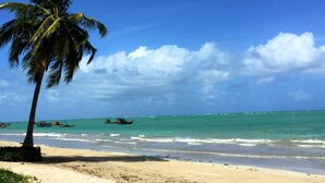 Una playa con una palmera, cielo azul despejado y mar tranquilo con barcos.