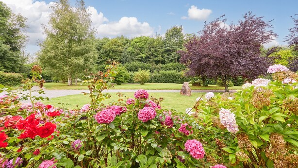 A garden with various flowers and trees.