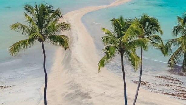 A beach with a sandy path leading to the water, surrounded by palm trees. - Comfort, location, and unforgettable landscapes in Maragogi! (Maragogi)