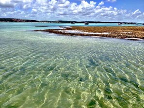 Beach - Comfort, location, and unforgettable landscapes in Maragogi! (Maragogi)