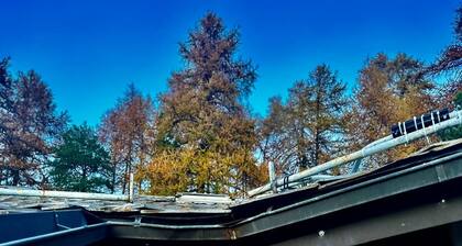The Nest Of Pila, a 5-minute walk from the slopes