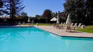Outdoor pool, pool umbrellas, pool loungers