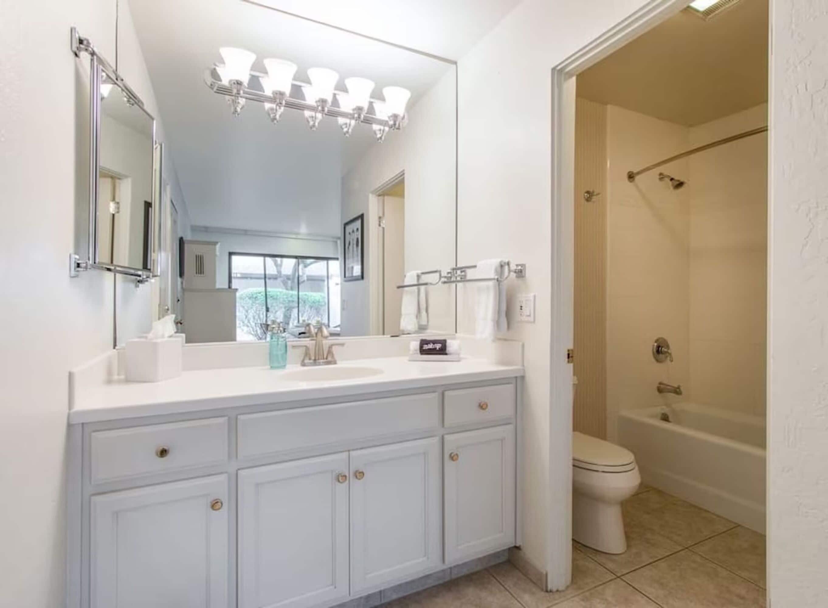 A modern bathroom with a large vanity, a walk-in shower, and a toilet.
