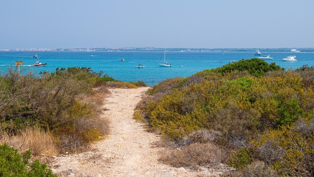 A coastal path leading to the sea with boats and a distant cityscape.