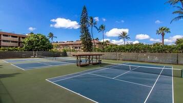 Un court de tennis extérieur doté de plusieurs terrains, d’un banc en bois et de palmiers.